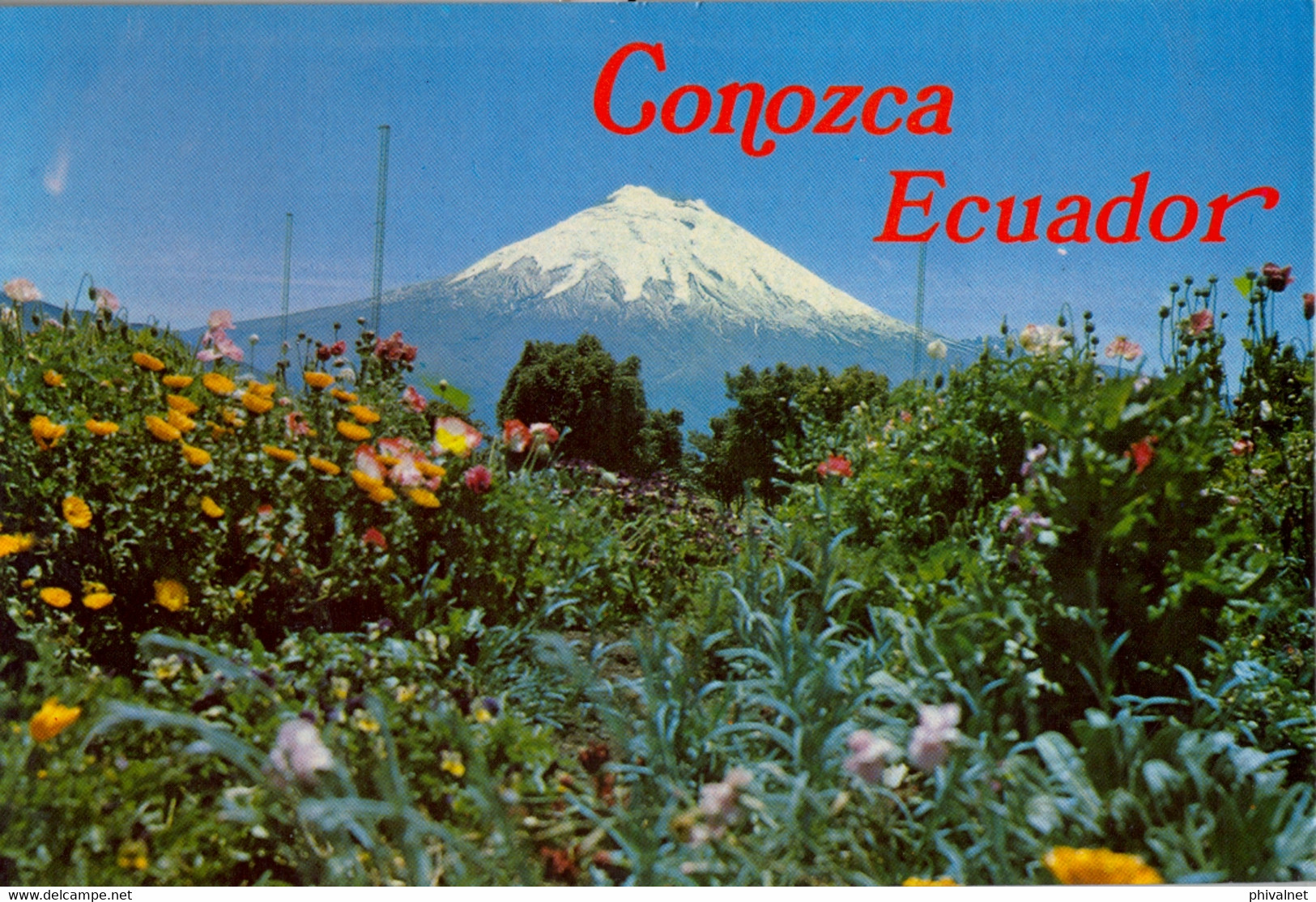 ECUADOR , T.P. CIRCULADA , EL COTOPAXI , VOLCÁN APAGADO , VISTA DESDE LA ESTACIÓN RASTREADORA DE SATÉLITES - Equateur