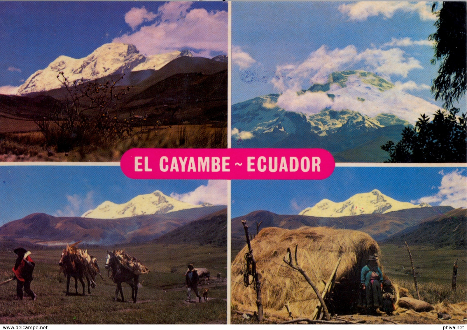 ECUADOR , T.P. CIRCULADA , EL CAYAMBE , MONTAÑAS , MOUNTAINS , INDIOS DE LA REGIÓN - Equateur