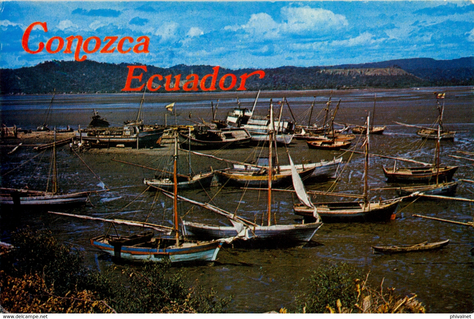 ECUADOR , T.P. CIRCULADA ,  PUERTO DE ESMERALDA , EMBARCACIONES PESQUERAS , FISHING - Equateur