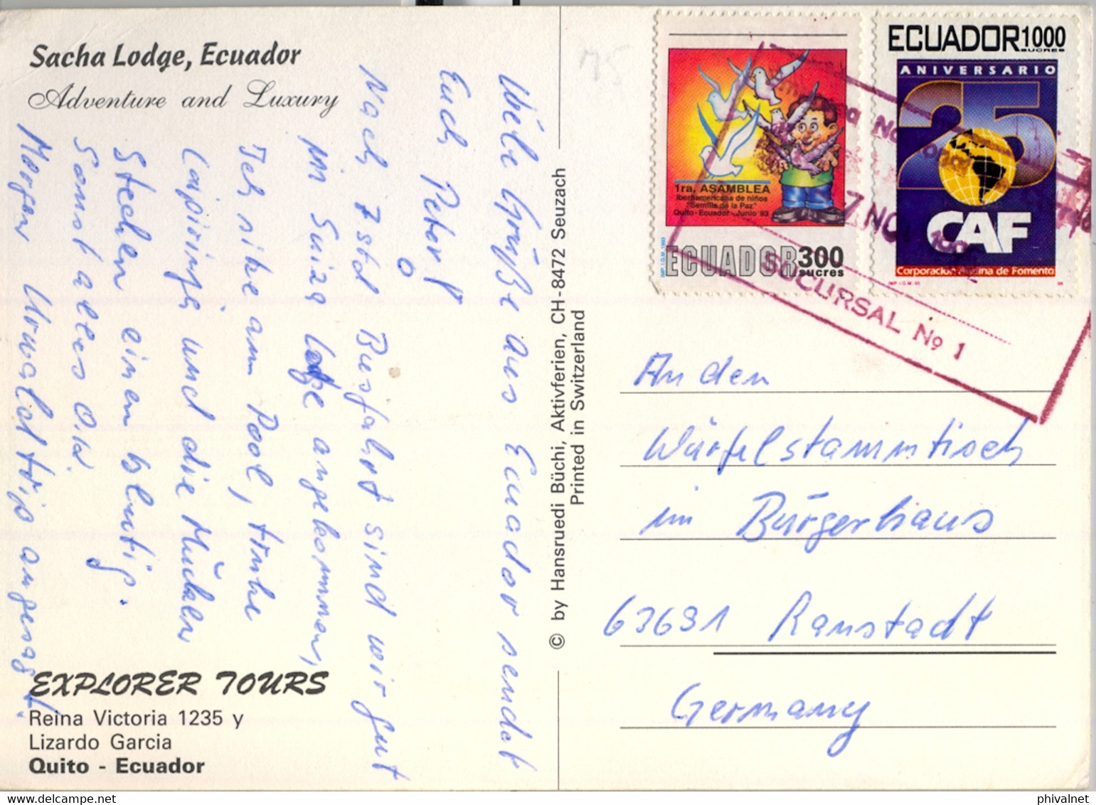 ECUADOR , T.P. CIRCULADA ,  SACHA LODGE , TURISMO , HOTEL , QUITO - Equateur