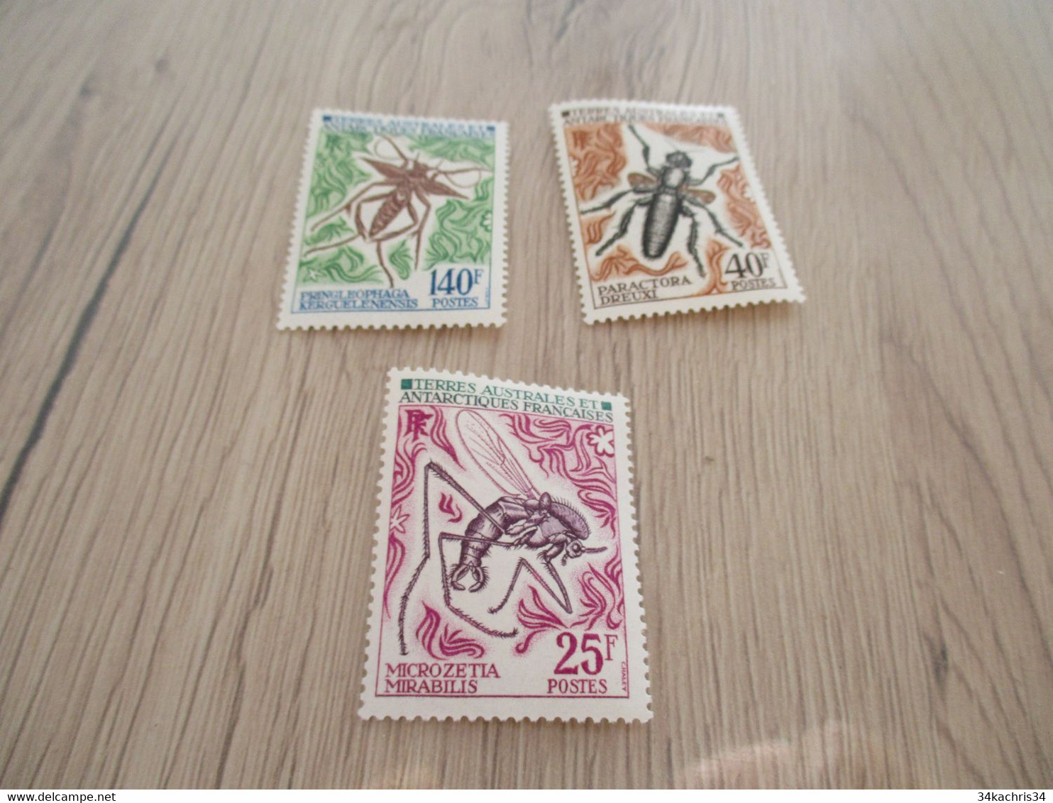TAAF Terres Australes N°40 à 42 Neuf Sans Charnière - Unused Stamps