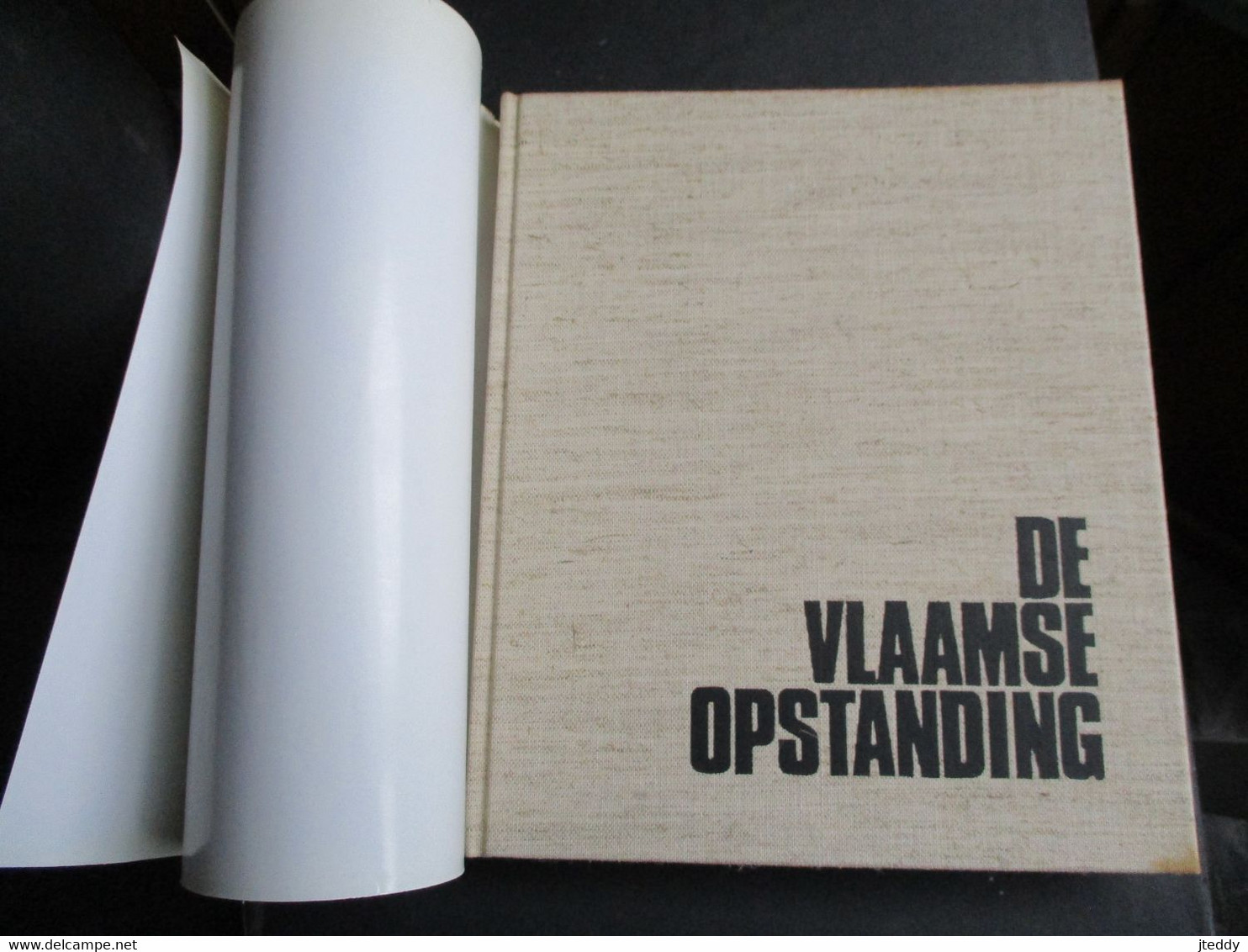 LOT 2 DELEN Boek DE  VLAAMSE  OPSTANDING 1   EN  2  Door  MAX LAMBERTY - Geschichte