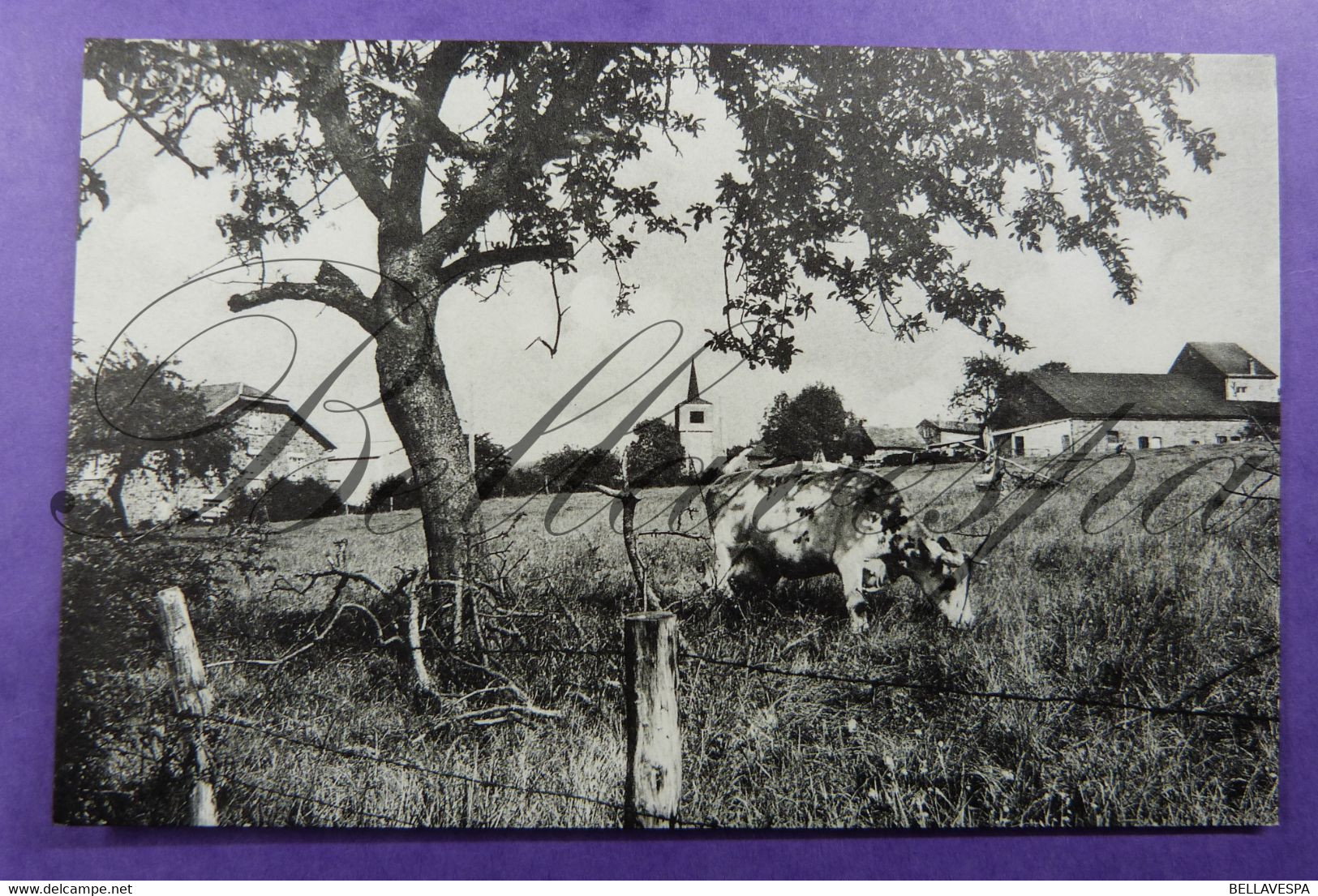 Freyneux Dochamps Paysage Champêtre. - Manhay