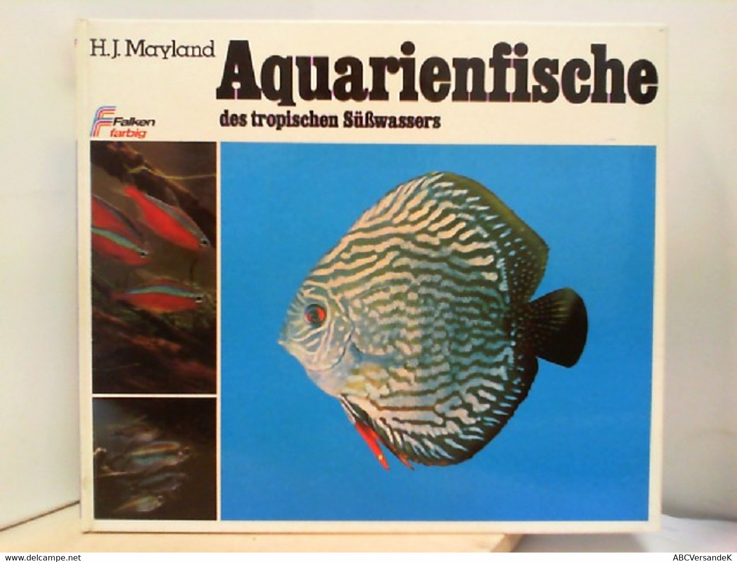 Aquarienfische Des Tropischen Süßwassers - Animaux