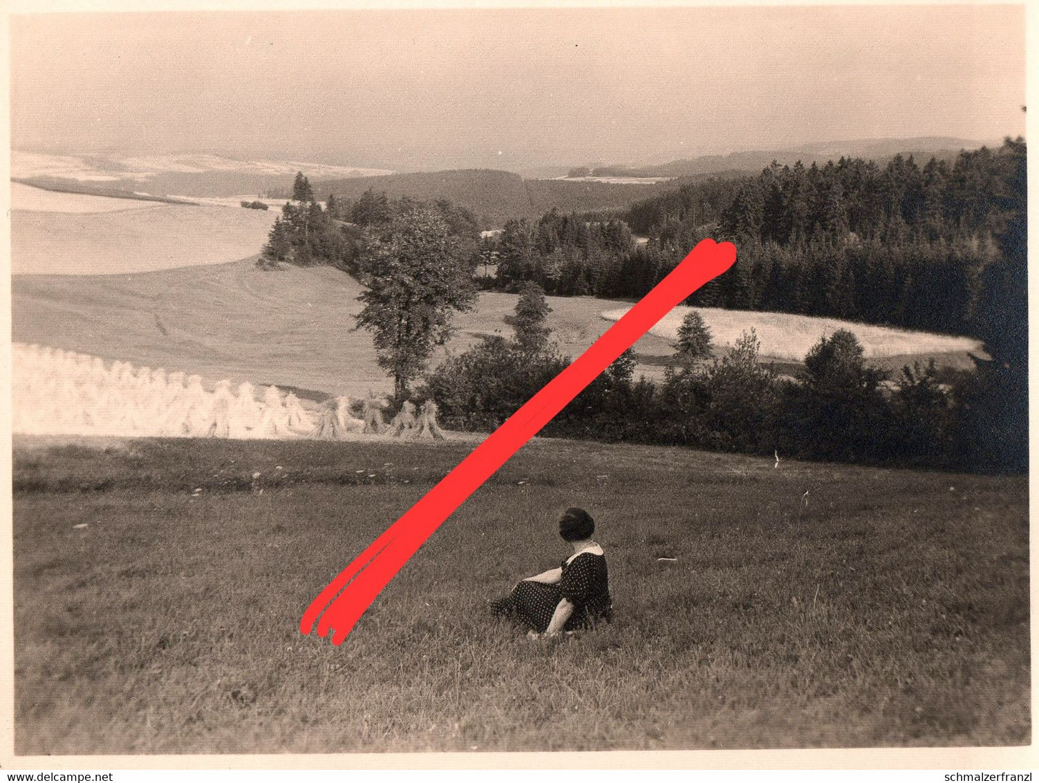 Foto Gasthaus Hotel Waldesruhe Waldesruh Lengefeld Obervorwerk Vorwerk Kalkwerk Lauterbach Marienberg Pockau Erzgebirge - Lengefeld