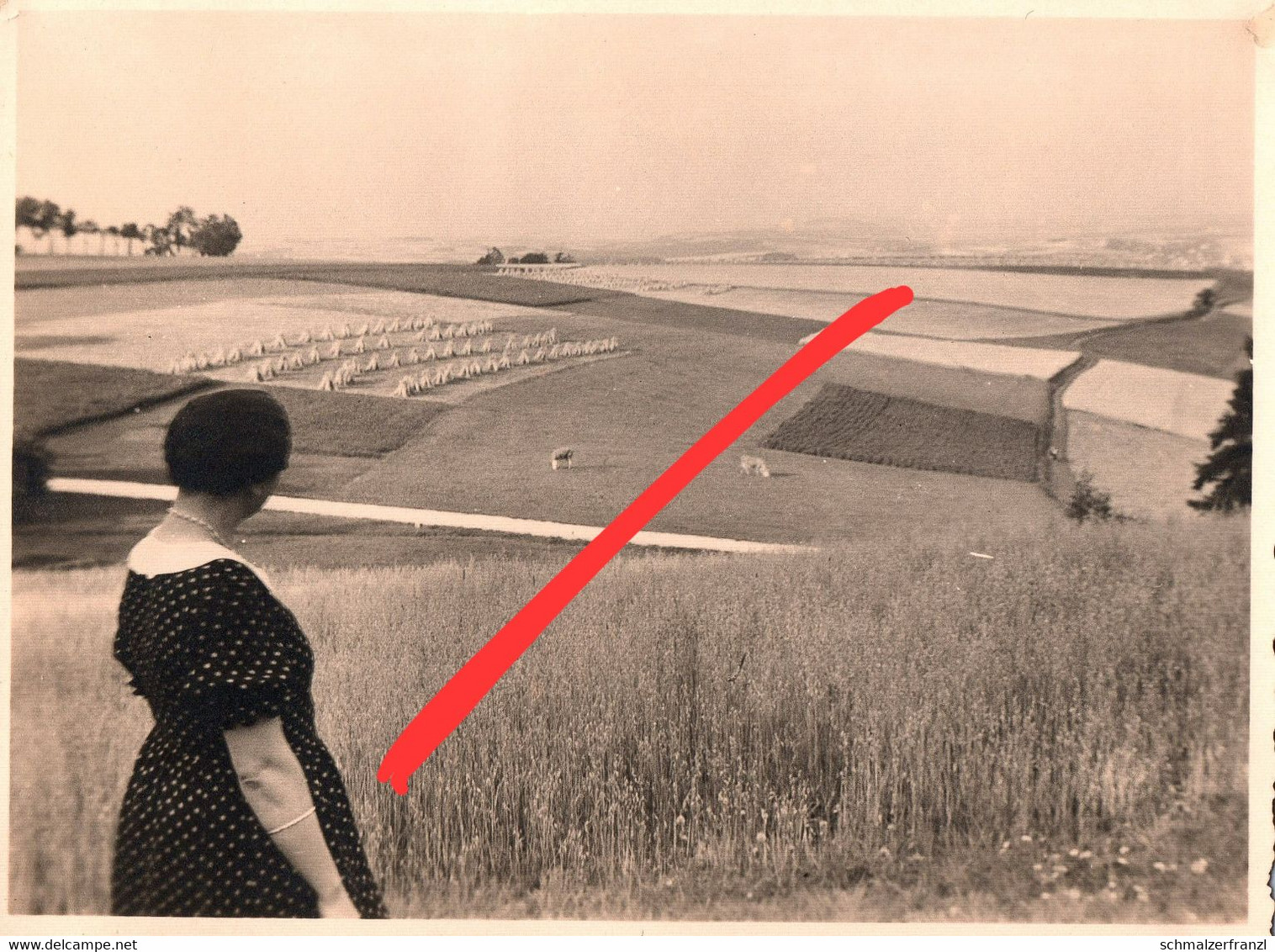 Foto Gasthaus Hotel Waldesruhe Waldesruh Lengefeld Obervorwerk Vorwerk Kalkwerk Lauterbach Marienberg Pockau Erzgebirge - Lengefeld