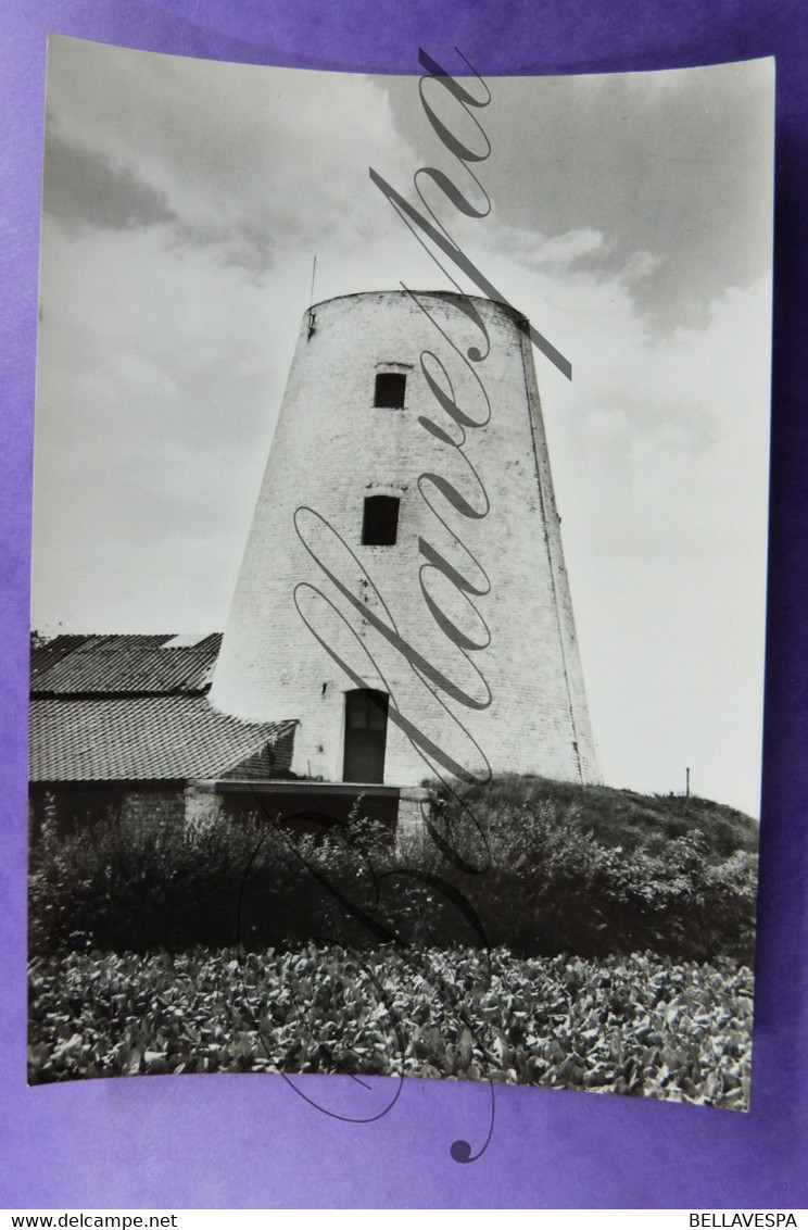 Peisegem Merchtem. Windmolen Koutermolen. Moulin A Vent & Hof Ten Houte  18 E Eeuw - Merchtem