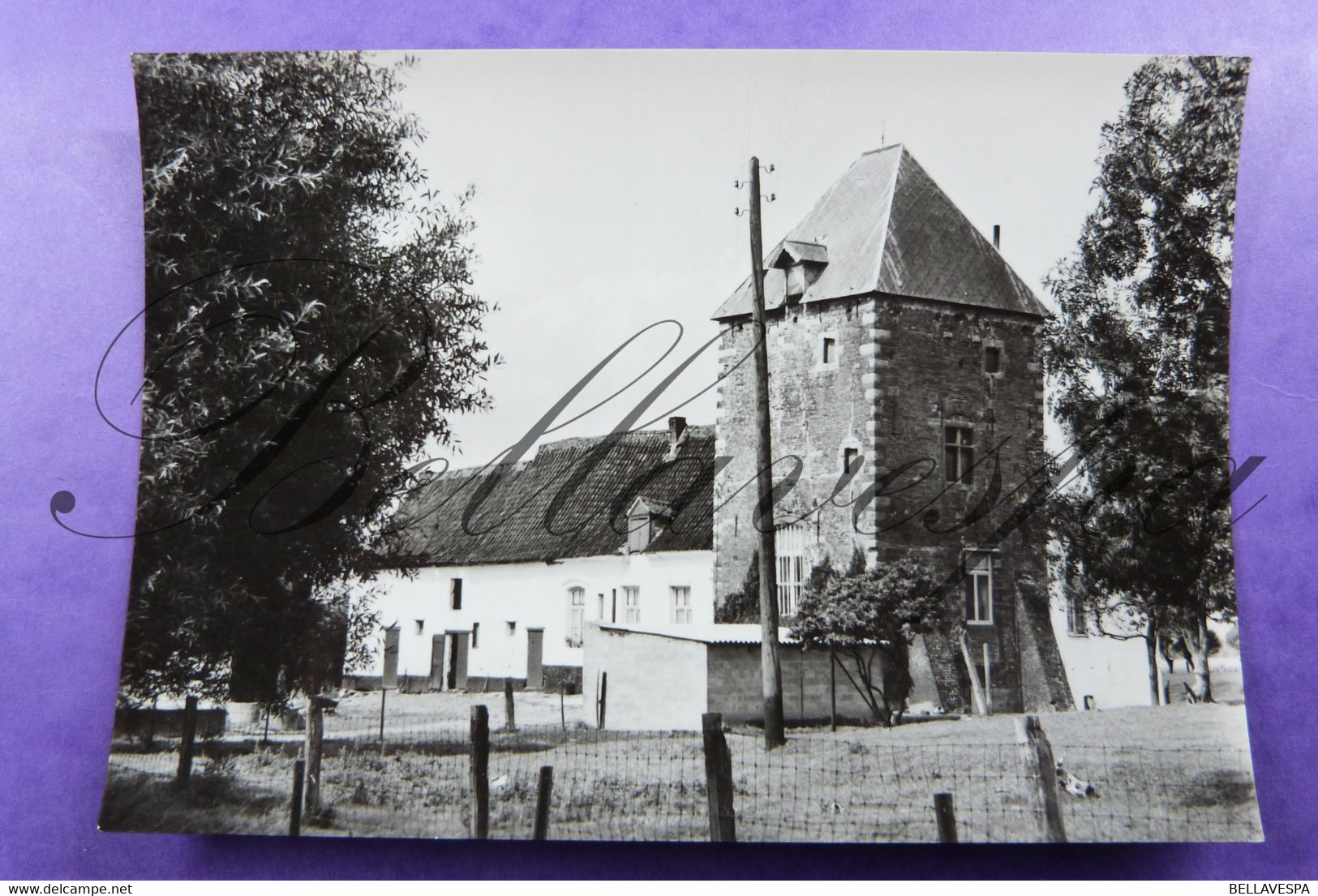 Peisegem Merchtem. Windmolen Koutermolen. Moulin A Vent & Hof Ten Houte  18 E Eeuw - Merchtem