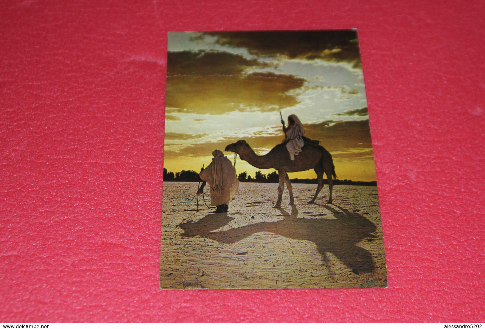 Libia Libya Tripoli Bengasi Camel Driver 1989 - Libië