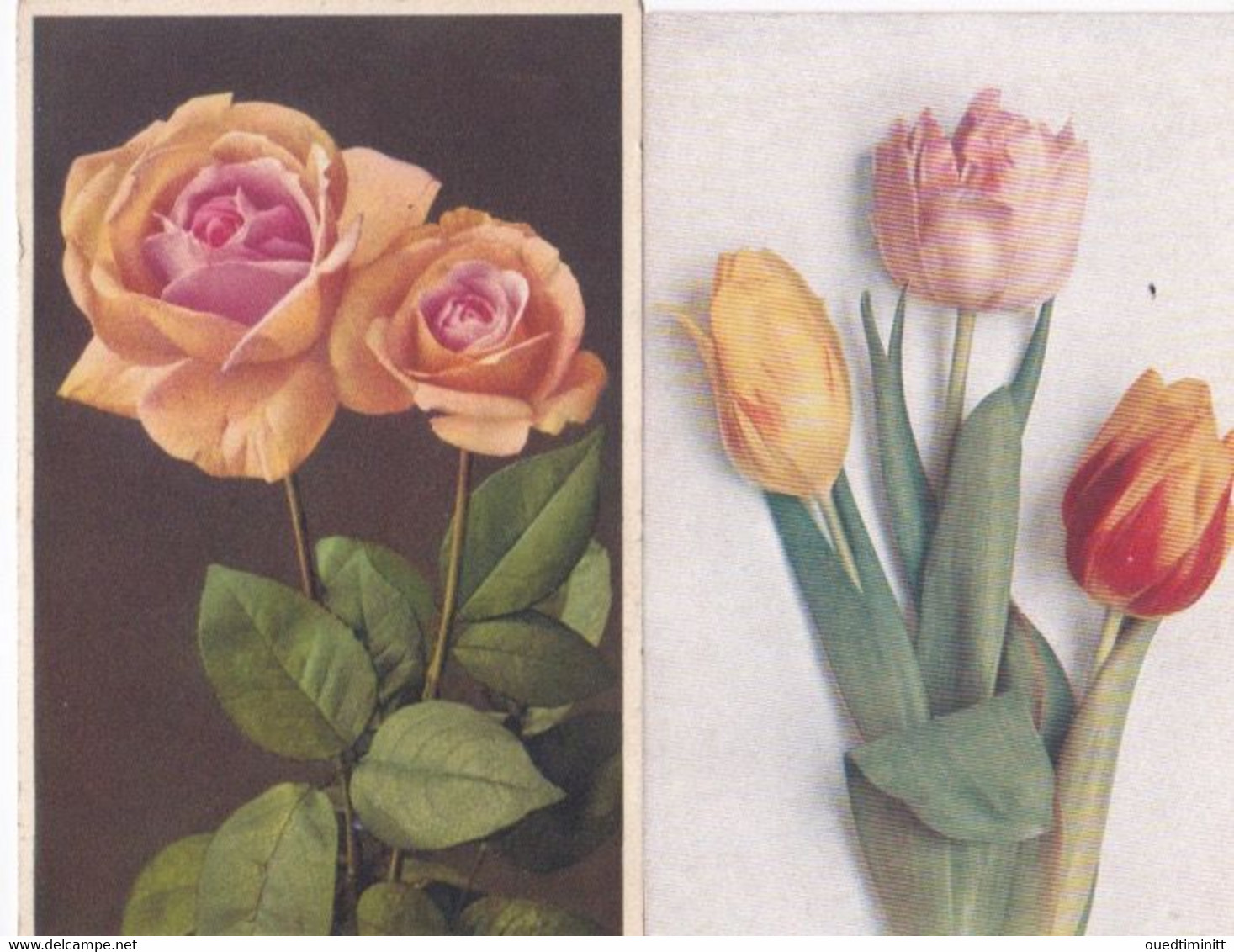 Lot De 2 CPA . Roses Et Tulipes. - Fleurs