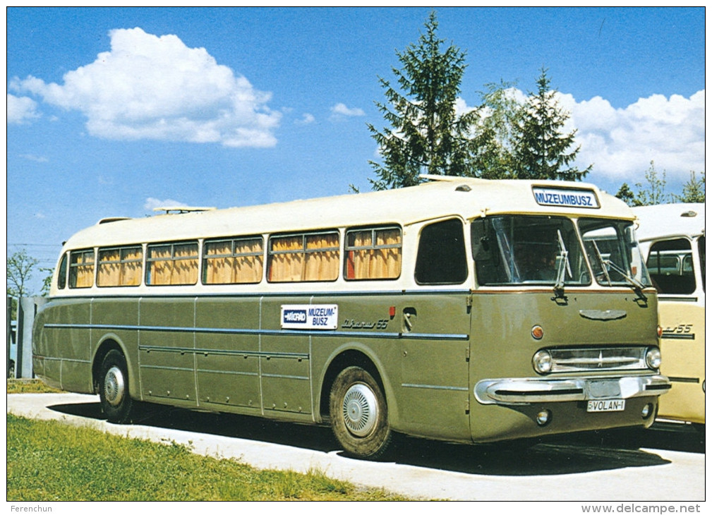 Buses & Coaches - BUS * AUTOBUS * IKARUS 55 * CSEPEL * NOGRAD VOLAN *  SZEKESFEHERVAR * Top Card 0626 * Hungary