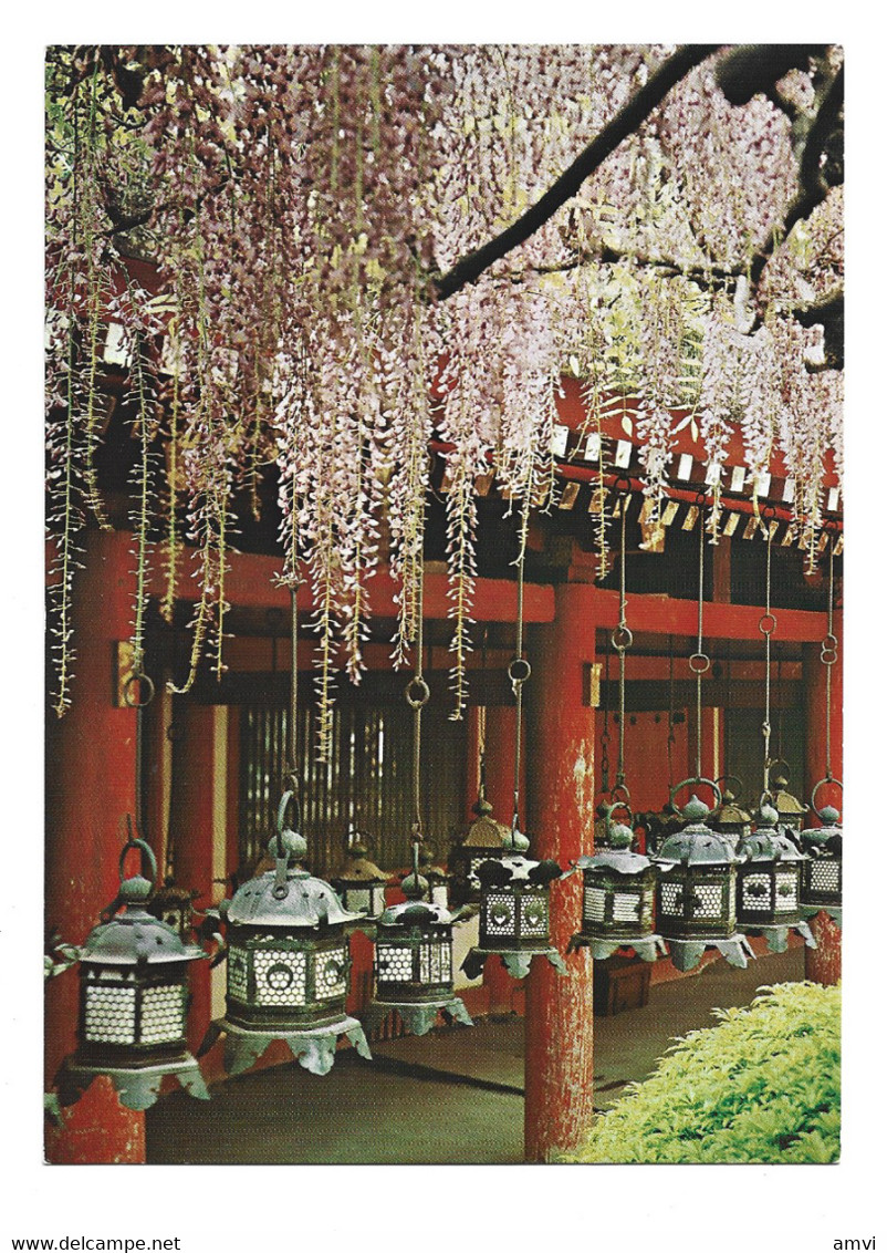 22-144 Japon - Kasuga-Shrine Nara - Altri & Non Classificati