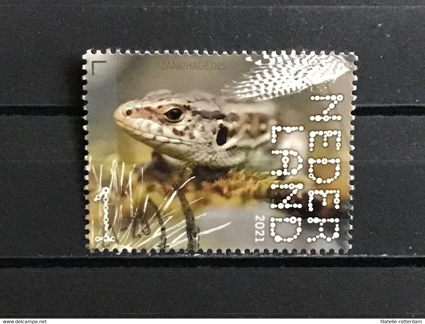 Nederland / The Netherlands - Zandhagedis 2021 - Used Stamps