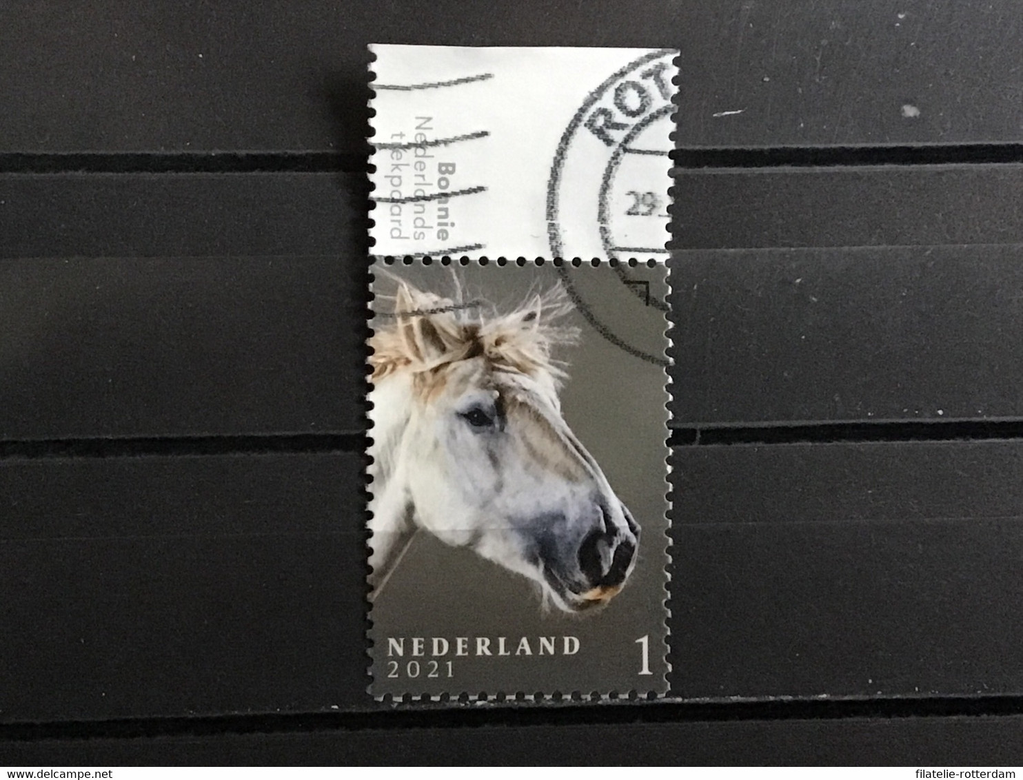 Nederland / The Netherlands - Paardenrassen 2021 - Used Stamps