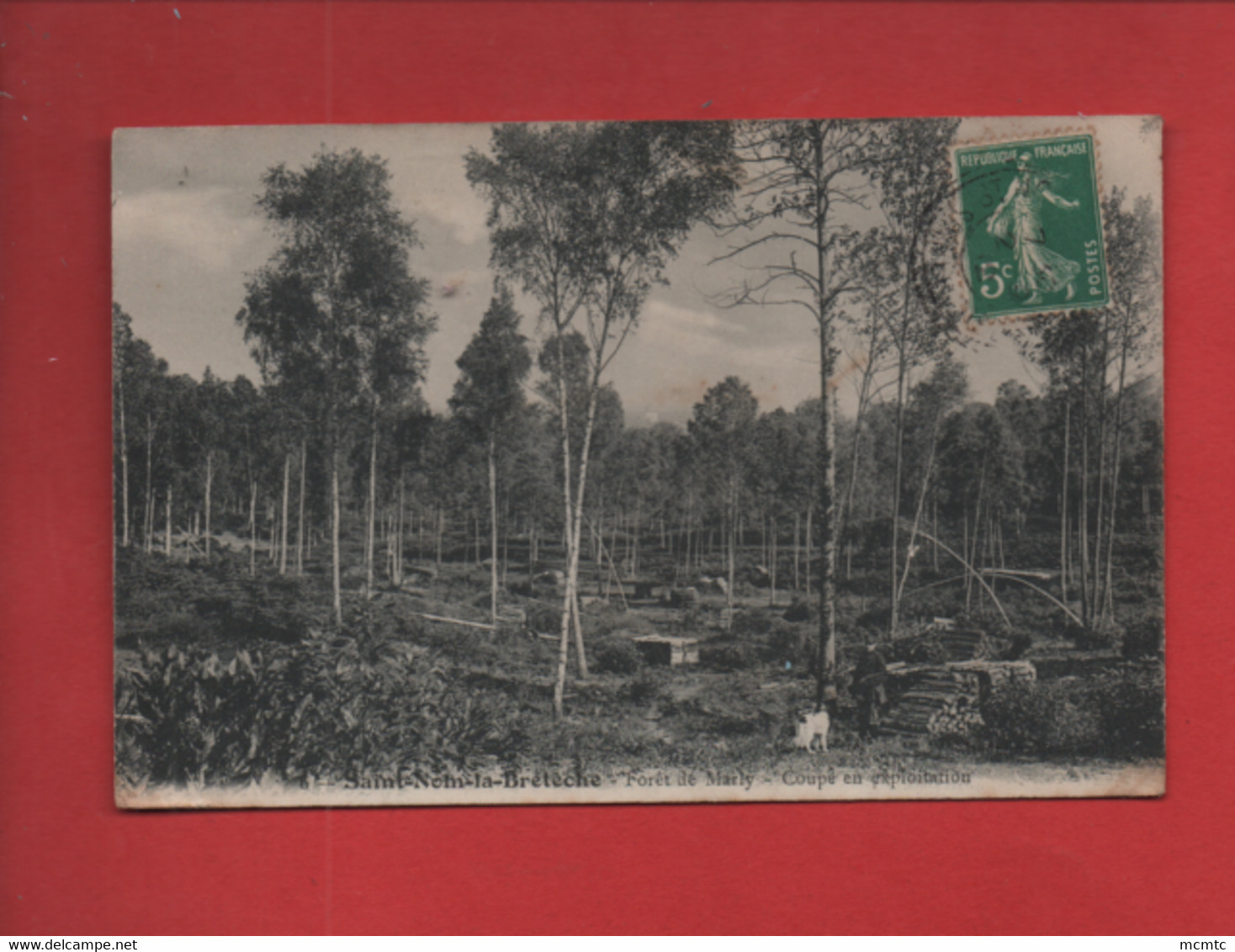 CPA - Saint Nom La Bretèche - Forêt De Marly - Coupe En Exploitation  ( Arbres, Arbre , Bois ) - St. Nom La Breteche