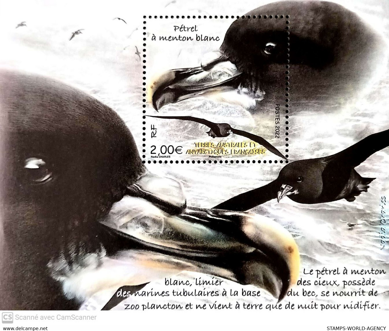 2022-01- TAAF- FSAT-  BIRDS PETREL                1V      MNH** - Faune Antarctique