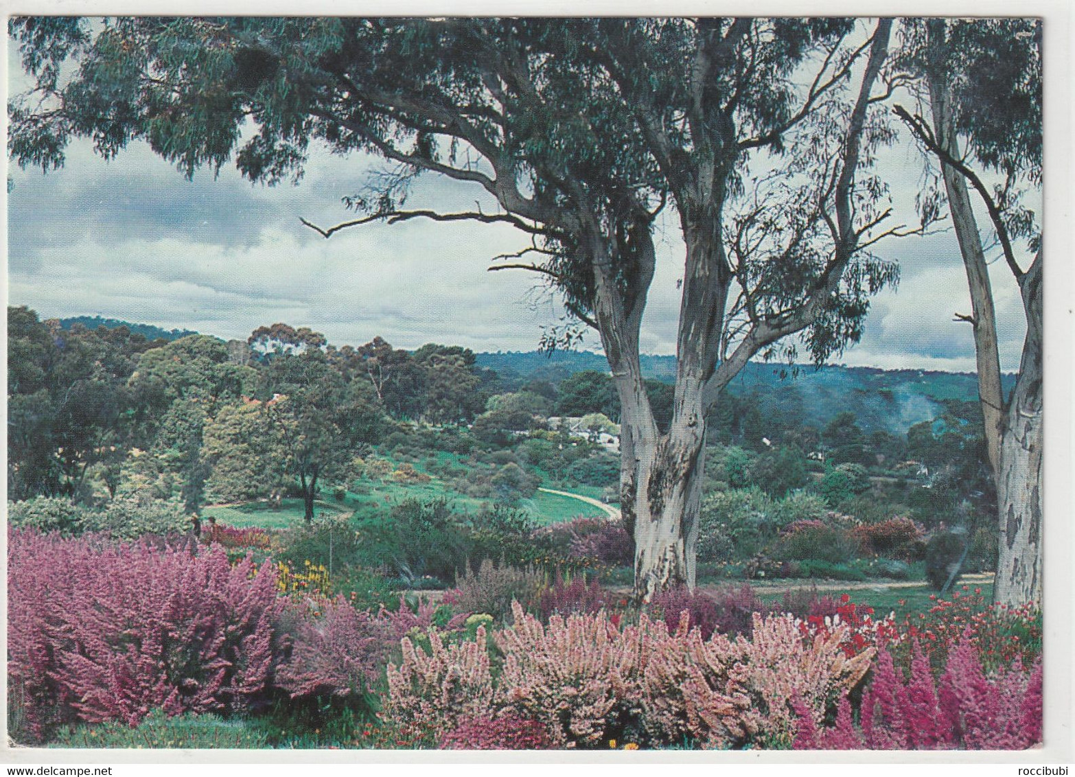 Wittunga Botanic Garden, Blackwood - Altri & Non Classificati