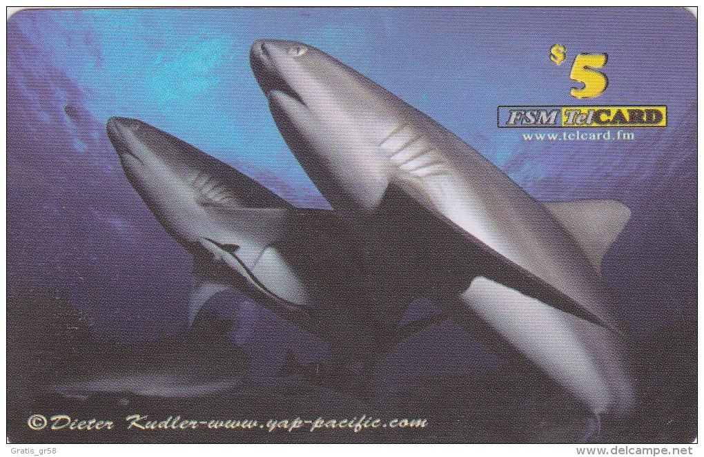 MICRONESIA - Remote Memory 5$ Card , Yap Pacific Dive Resort (White Sharks No1), Used - Micronesia