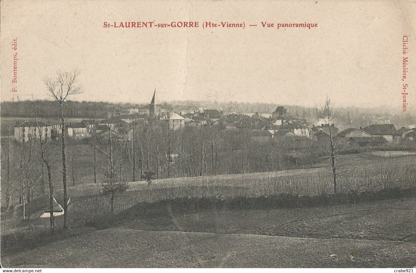 87 ST LAURENT SUR GORRE VUE PANORAMIQUE  TRES BELLE CARTE - Saint Laurent Sur Gorre