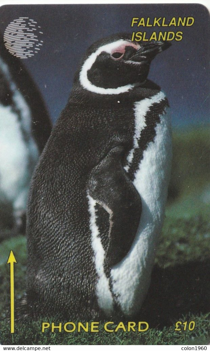 FALKLAND ISLANDS (MALVINAS). FLK-1B. Jackass Penguin. 40000 Ex. (019) - Falkland Islands