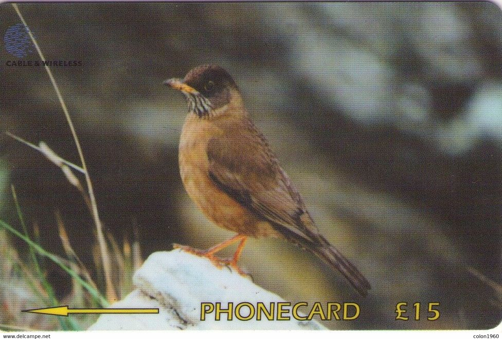 FALKLAND ISLANDS (MALVINAS). FLK-339C. Falklands Thrush. 10000 Ex. (005) - Falklandeilanden