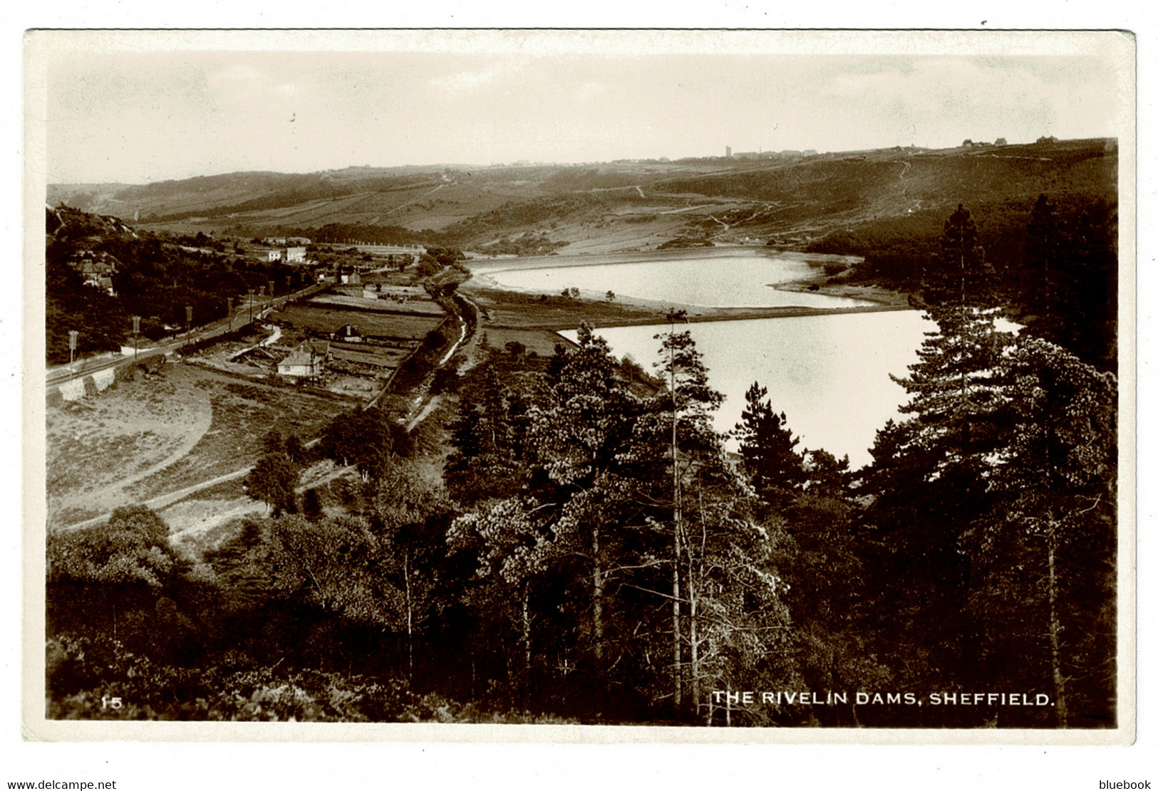 Ref 1515 - Real Photo Postcard - The Rivelin Dams - Sheffield Yorkshire - Sheffield