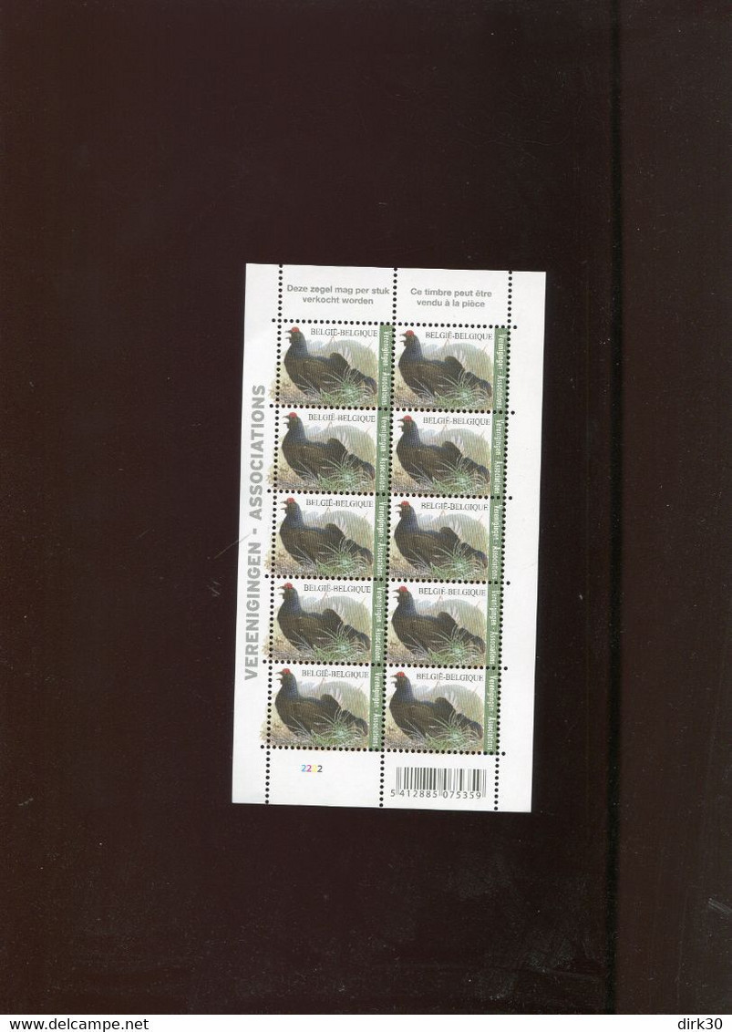 Belgie Buzin Vogels Birds 2013 4305 Associations Verenigingen RR Plaatnummer 2 - 1985-.. Birds (Buzin)