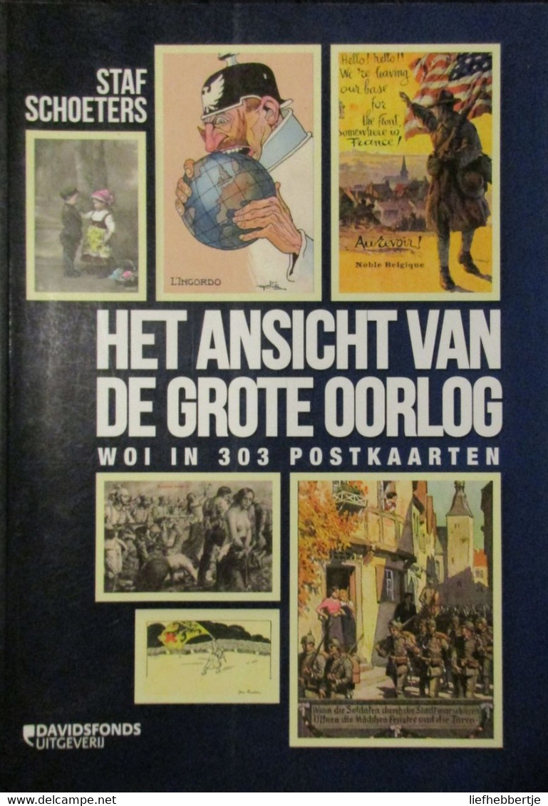 Het Ansicht Van De Grote Oorlog - WO I In 303 Postkaarten - 2013 - War 1914-18