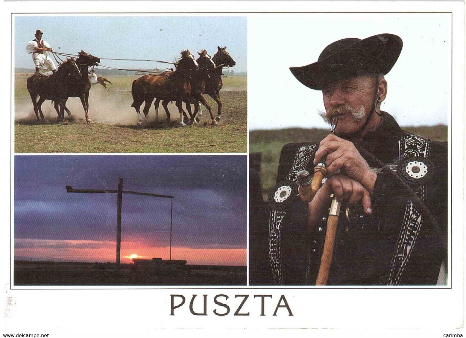 1998 CARTOLINA PUSZTA PER ITALIA - Storia Postale