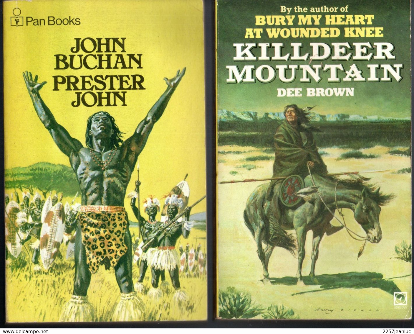 Lot 2 Romans Fiction :  John Buchan Prester John   ( Pan 1972 ) &  Killdeer Mountain  Dee Brown 1984 - Autres & Non Classés