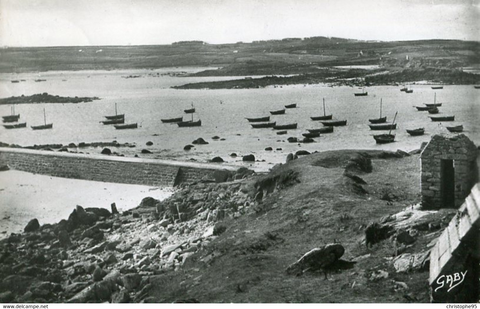 29.n° 24102 . Plouguerneau . Petit Port De Correjou. Vue Generale. - Plouguerneau