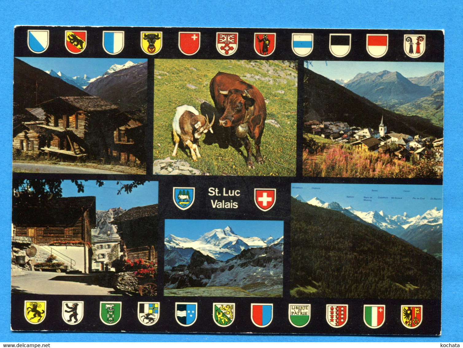 NOV389, St. Luc, Val D'Anniviers, Chèvre, Ziege, Goat, Vache D'Hérens, 51801, Klopfenstein, GF, Circulée - Saint-Luc