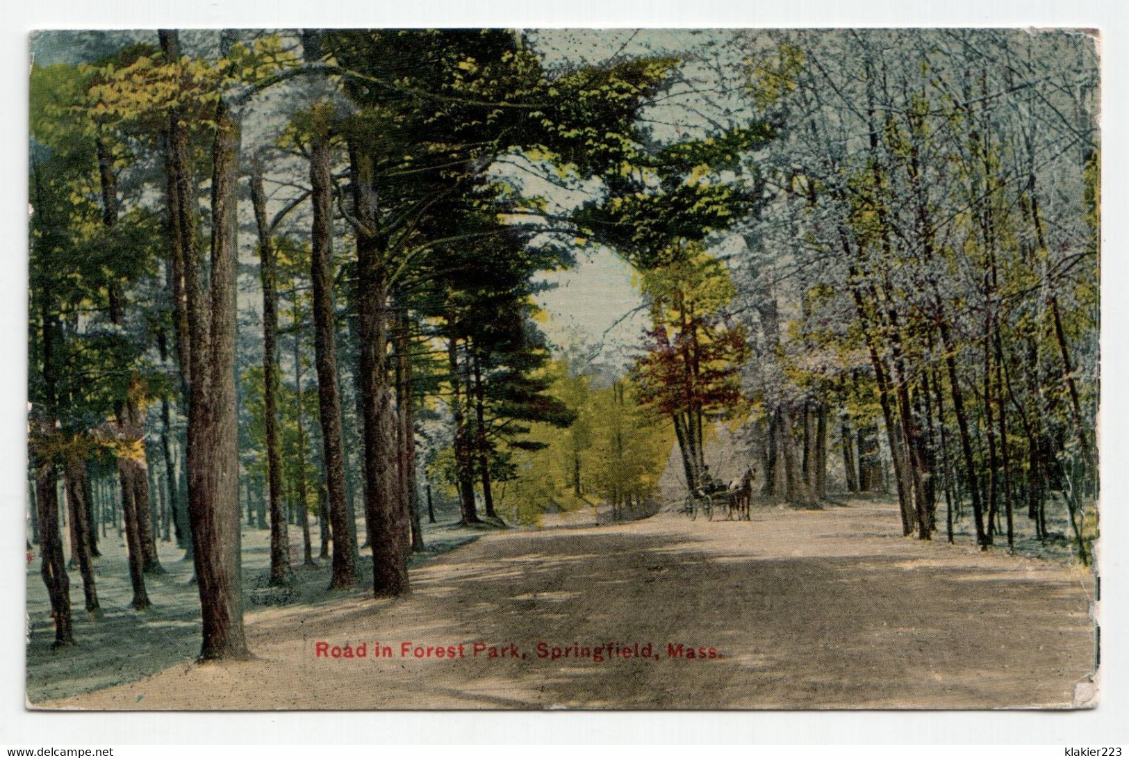 Road In Forest Park, Springfield, Mass. Year 1910 - Springfield