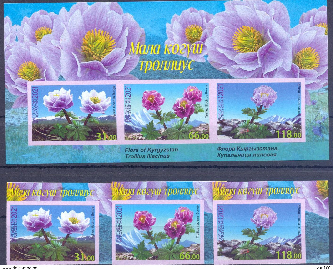 2021. Kyrgyzstan, Flora, Flowers, Lilac Globeflowers, 3v + S/s  Imperforated,  Mint/** - Kirgisistan