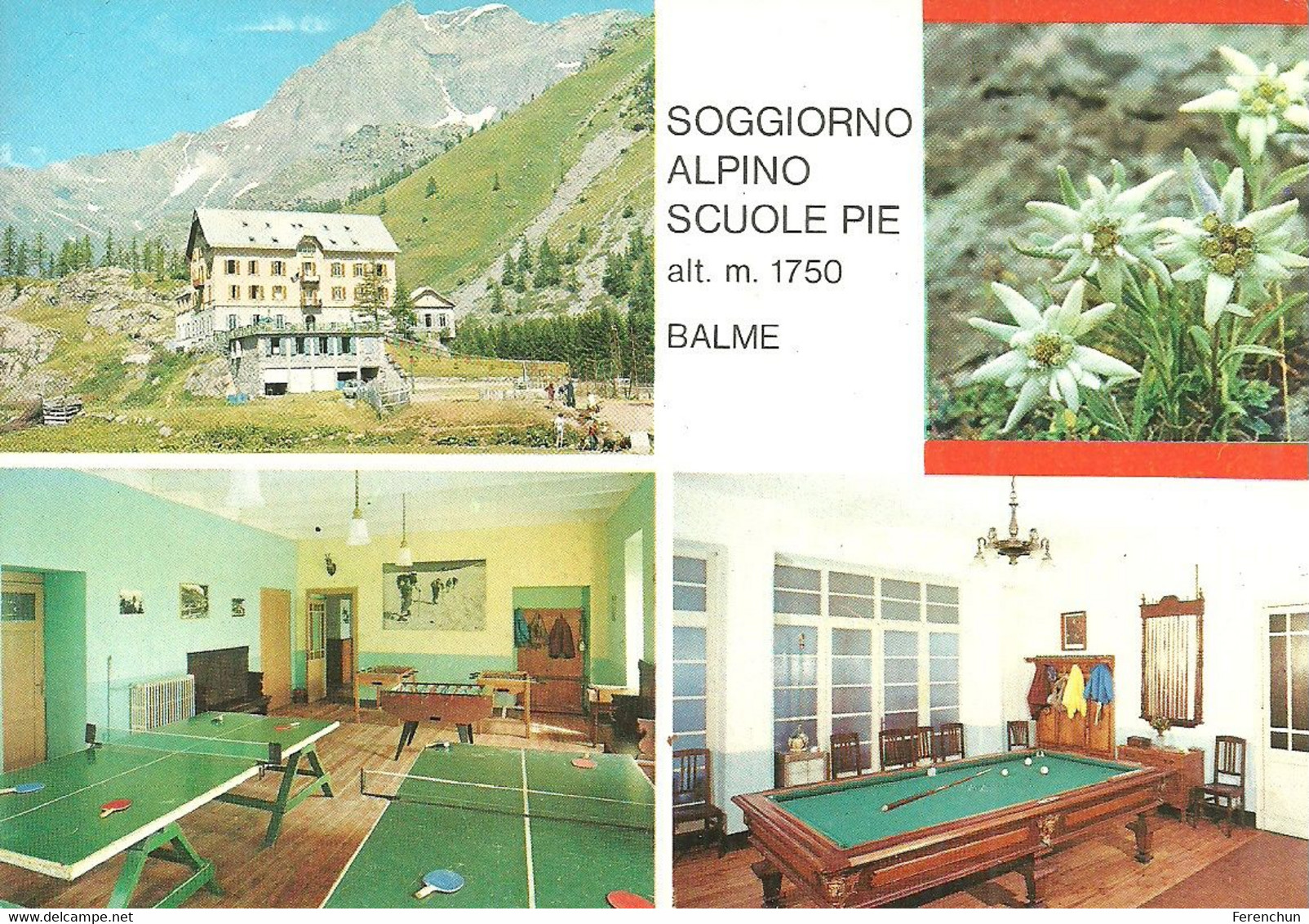 TABLE TENNIS PING PONG CUE SPORTS BILLIARD SPORT * SOGGIORNO ALPINO SCUOLE PIE BALME EDELWEISS * Grapholito 2573 * Italy - Table Tennis