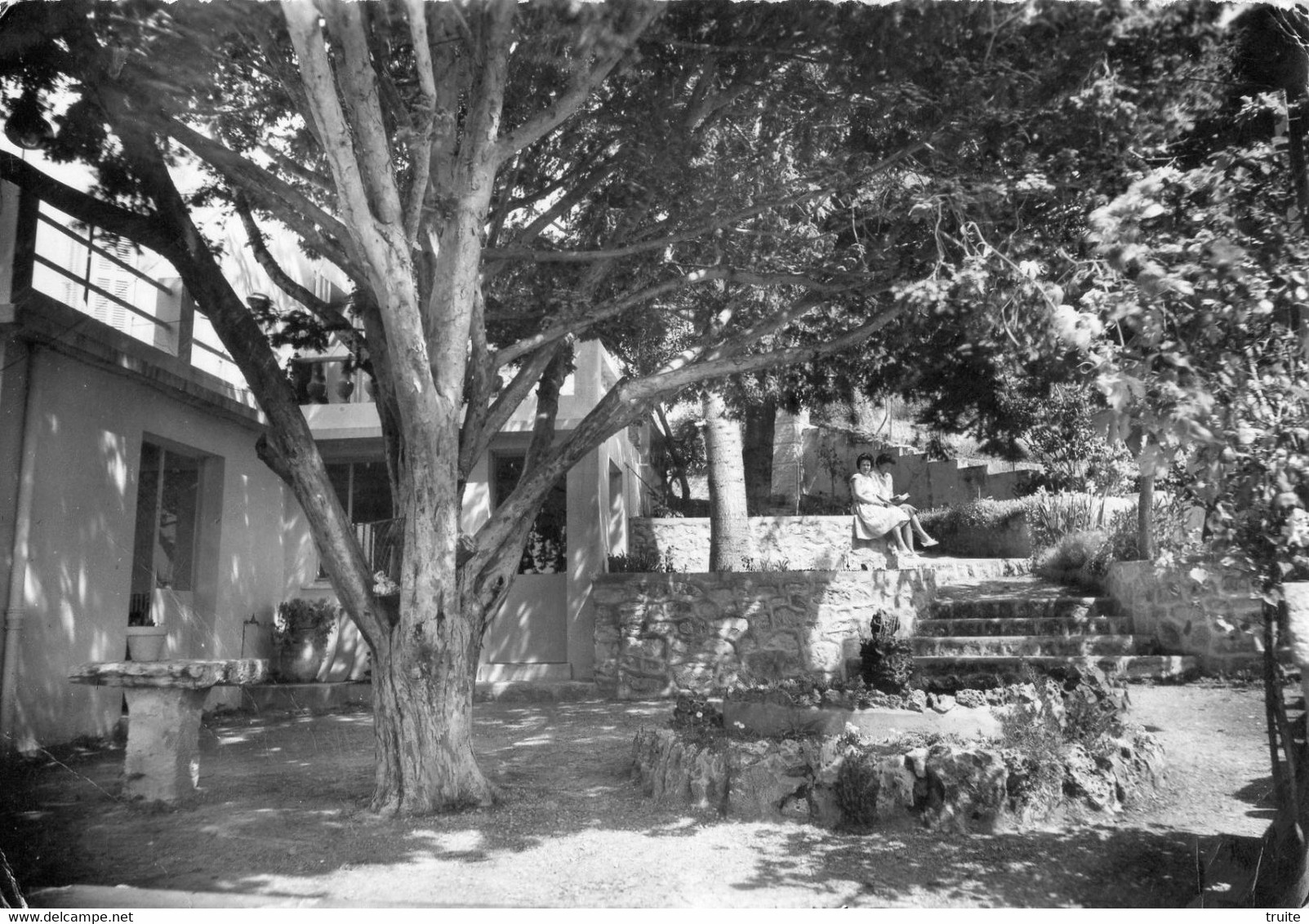 MONTAUROUX LA MARJOLAINE (UN COIN DU PARC) MAISON DE REPOS ET DE CONVALESCENCE POUR DAMES ET JEUNES FILLES (CARTE PHOTO) - Montauroux