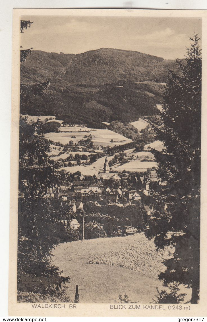 A7150) WALDKIRCH BR. - Blick Zum KANDEL - Tolle Alte AK - - Waldkirch