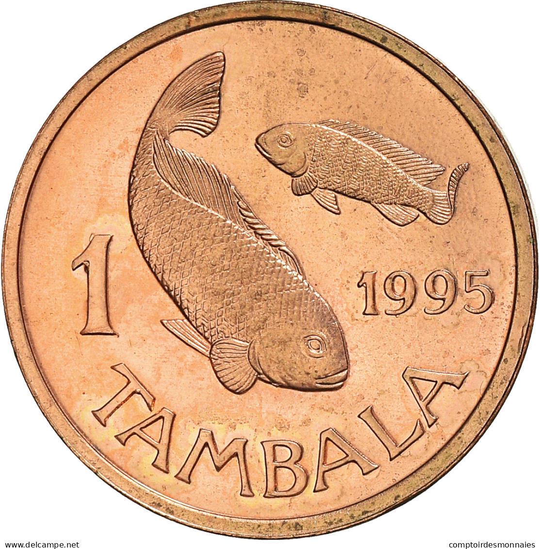 Monnaie, Malawi, Tambala, 1995, SUP+, Bronze, KM:33 - Malawi