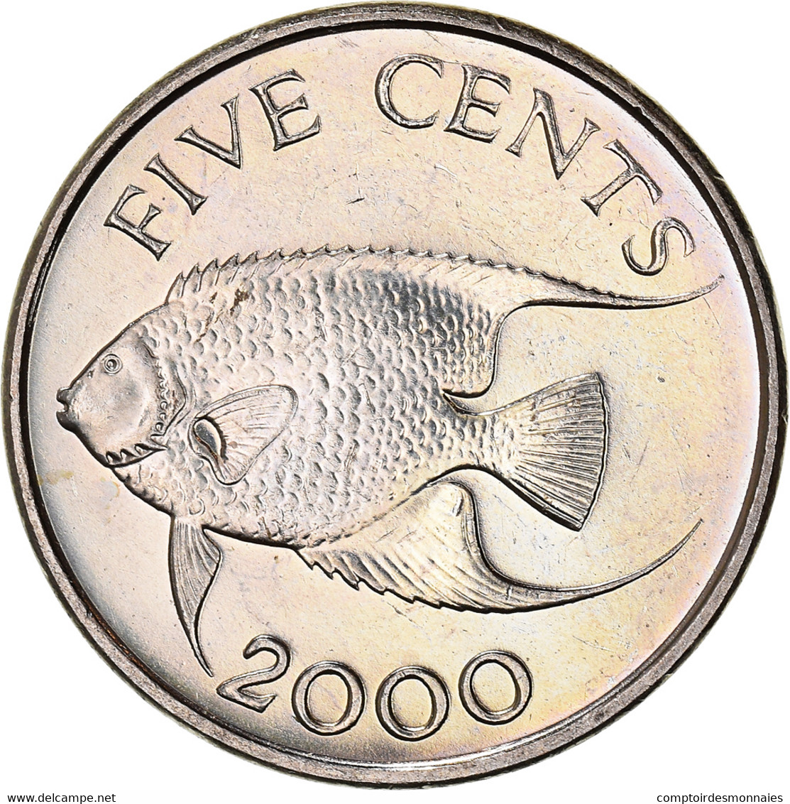Monnaie, Bermuda, Elizabeth II, 5 Cents, 2000, TTB+, Cupro-nickel, KM:108 - Bermudas
