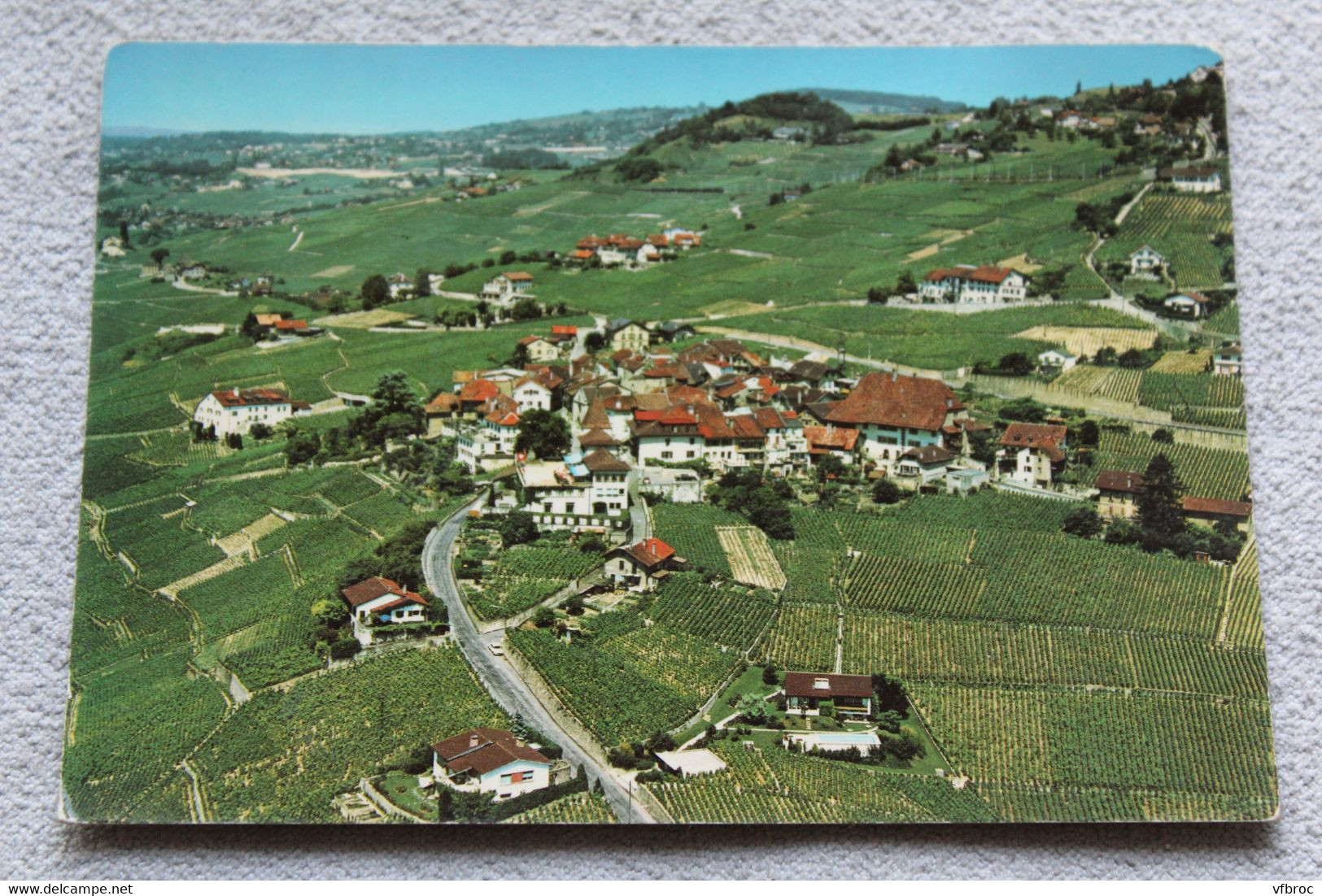 Cpm, Grandvaux, Vignobles De Lavaux, Suisse - Grandvaux