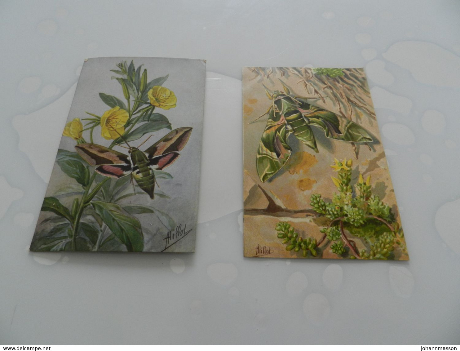 Lot  De 2  Cartes Postales  Sur    Les   Papillions - Papillons