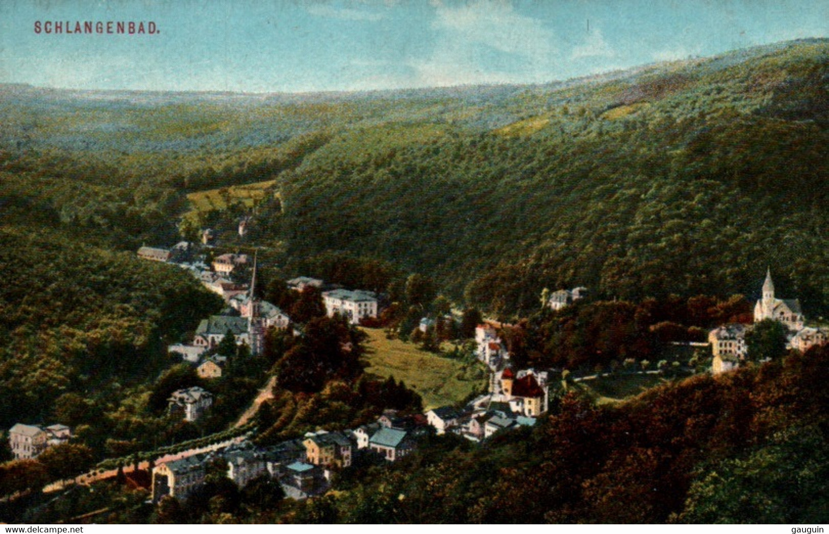 CPA - SCHLANGENBAD - Vue Panoramique ... - Schlangenbad