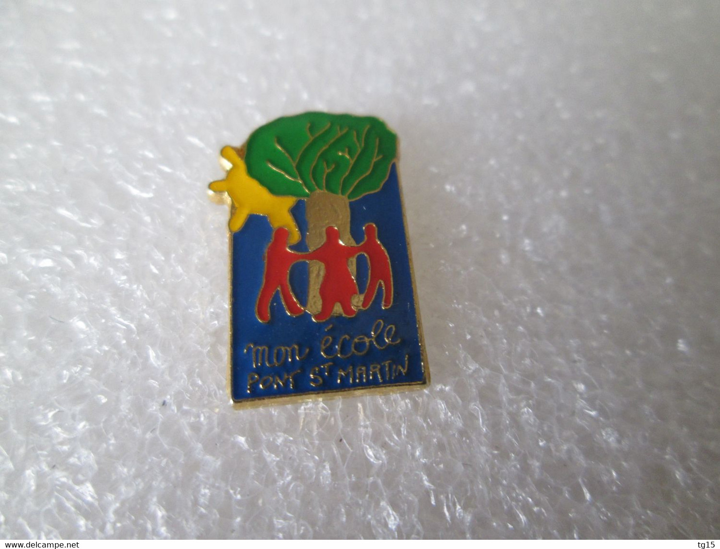 PIN'S    ECOLE  PONT SAINT MARTIN - Administrations