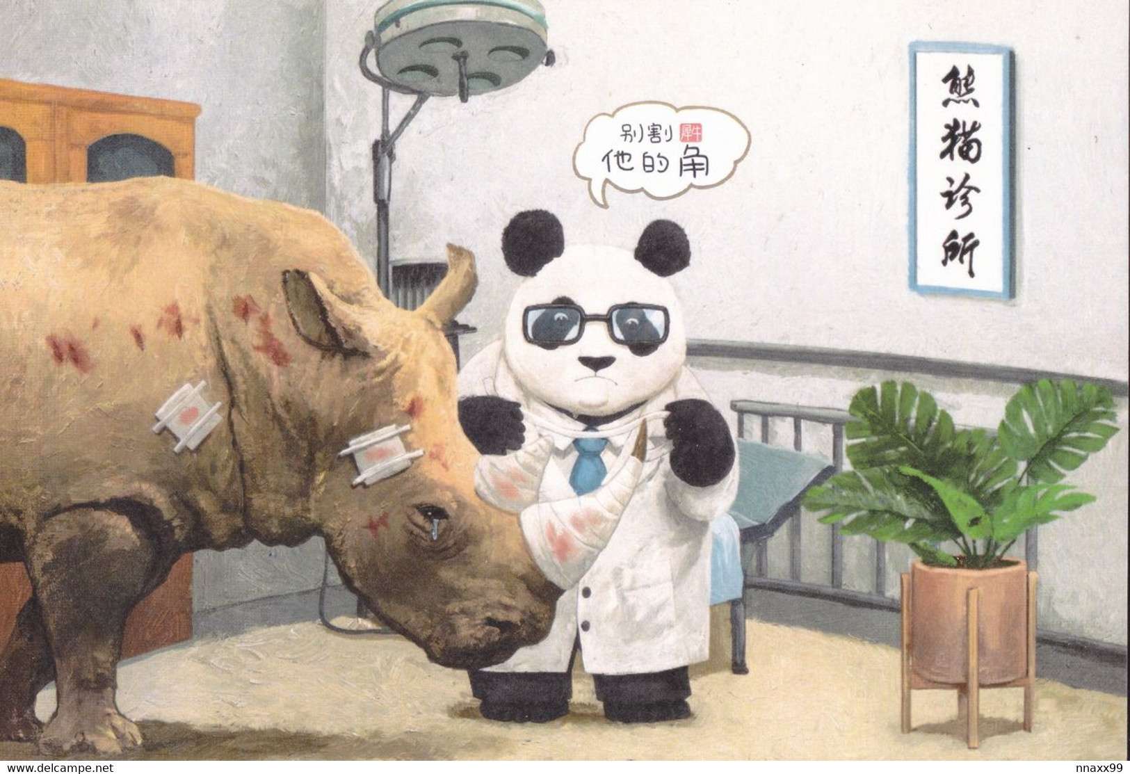 Rhinoceros - Doctor Panda & Patient White Rhino, Don't Cut His Corners - Rinoceronte