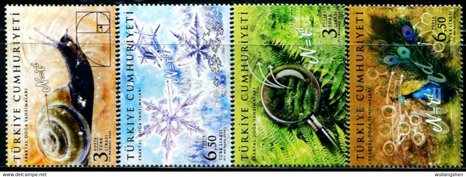 XH0190 Turkey 2020 Mathematical Beauty Snail Peacock Etc. 4V MNH - Ongebruikt