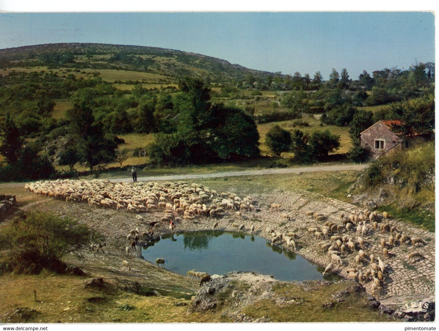 LA COUVERTOIRADE LAVOGNE TROUPEAU MOUTONS POINT D'EAU LOT 7 CARTES