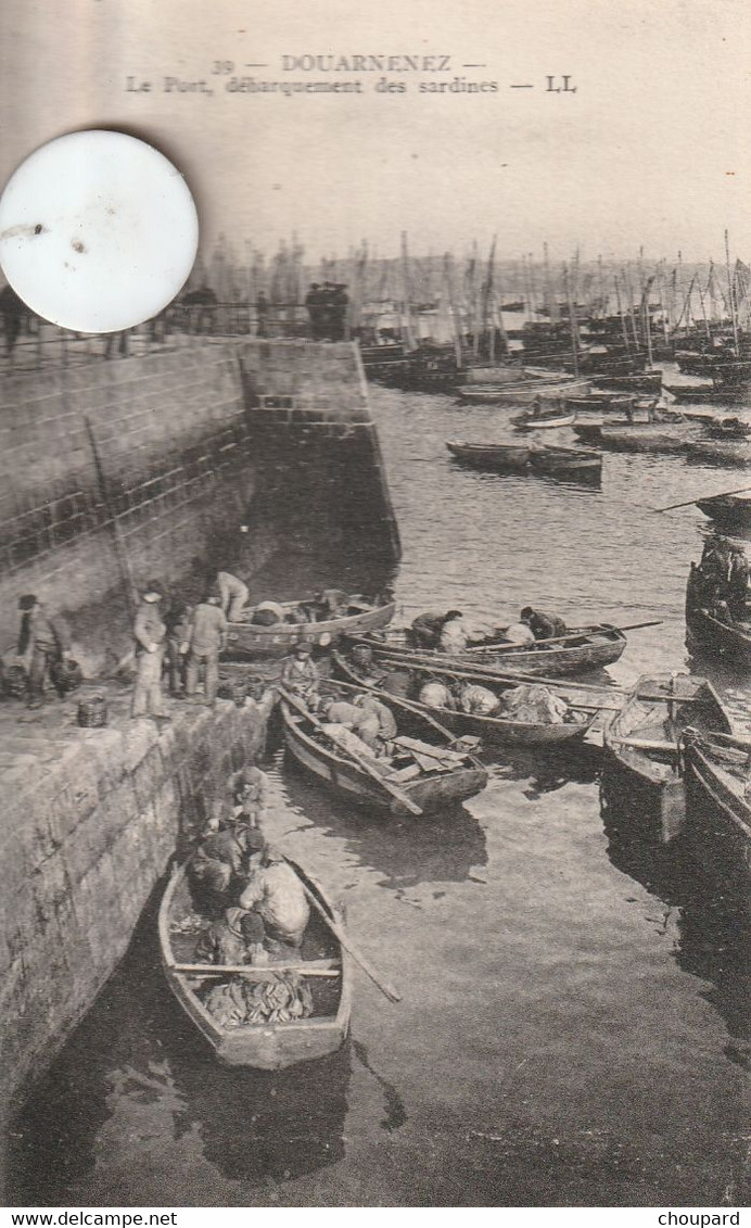 29 - Carte Postale Ancienne De  DOUARNENEZ  Le Grand Port   Débarquement Des Sardines - Douarnenez