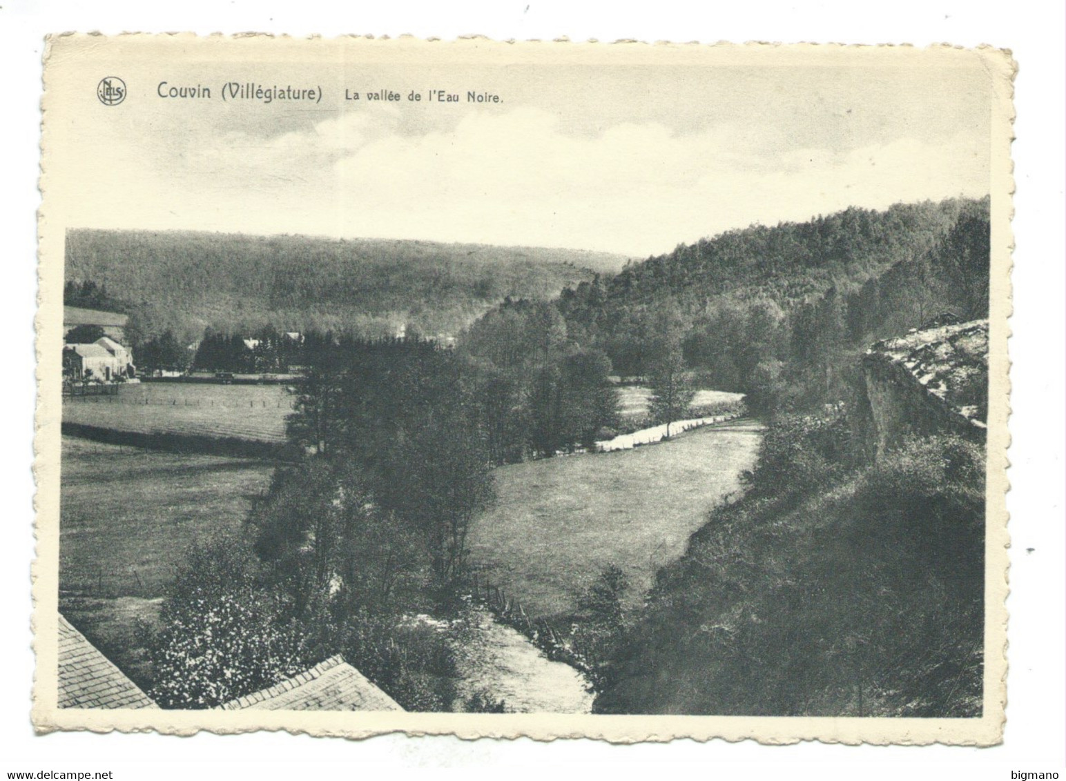 Couvin La Vallée De L'Eau Noire - Couvin