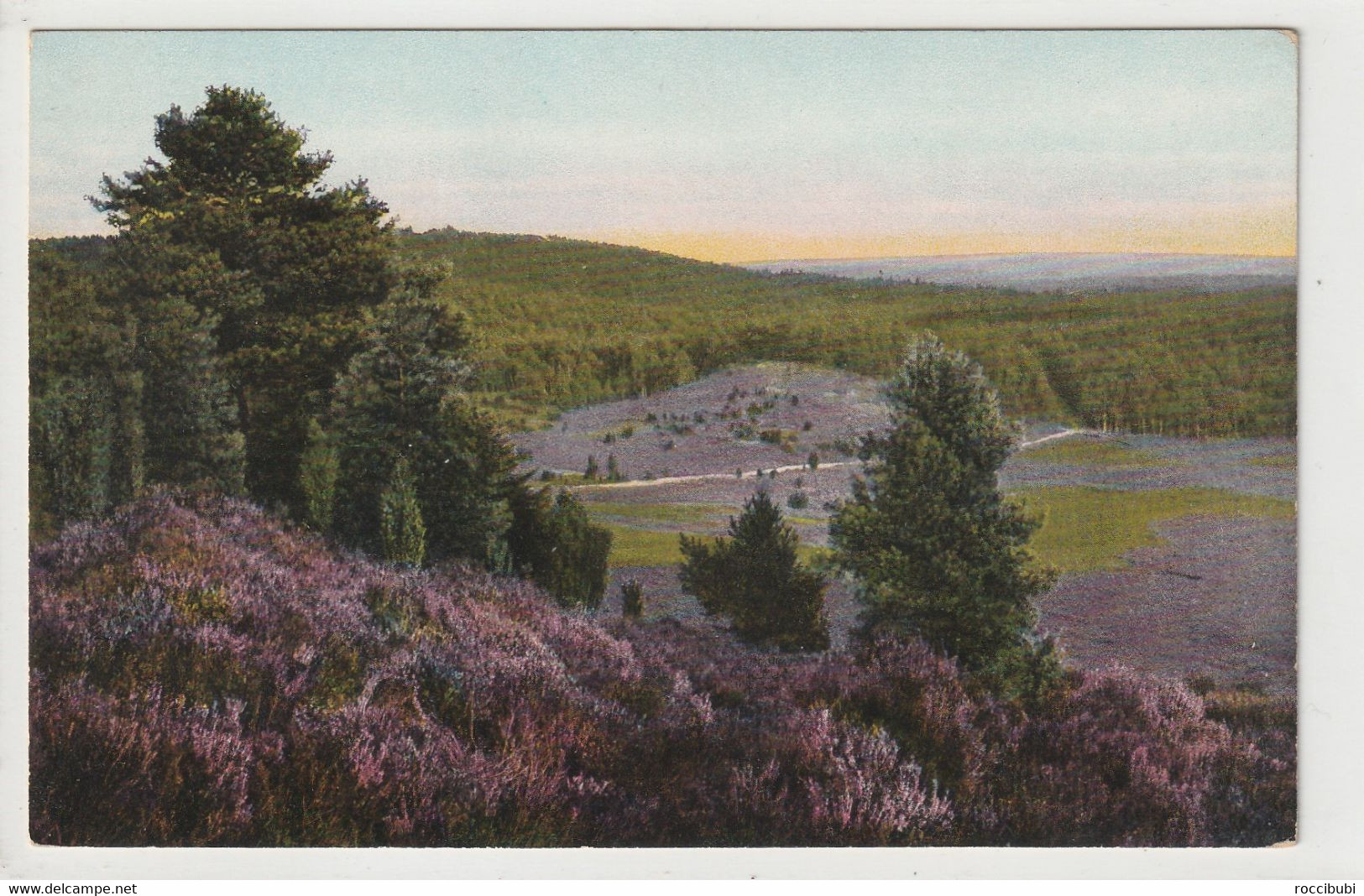 Lüneburger Heide, Wilsede - Lüneburger Heide