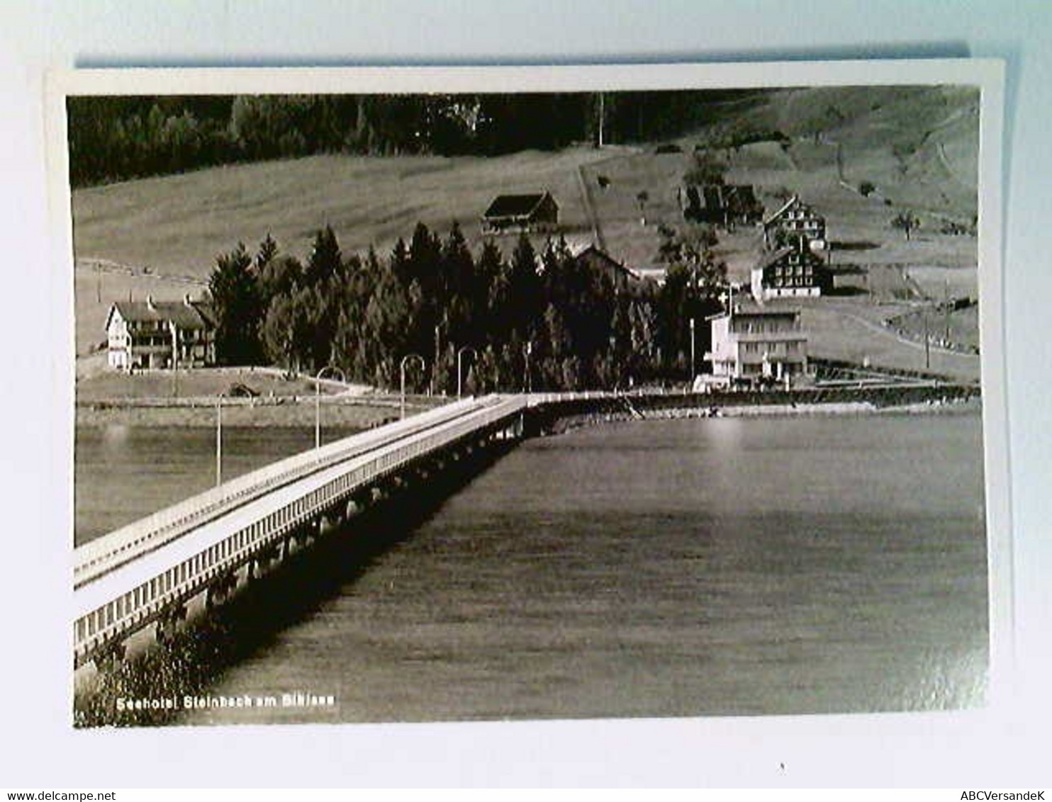 Seehotel Steinbach Am Sihlsee, Einsiedeln, Brücke, AK, Ungelaufen, Ca. 1960 - Stein